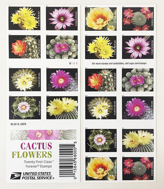 Cactus Flowers Forever First Class Postage Stamps