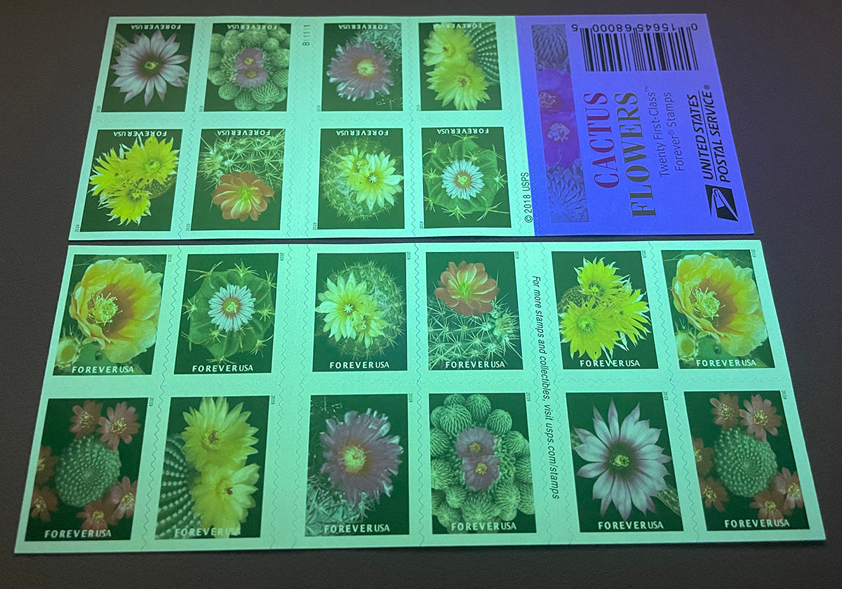 Cactus Flowers Forever First Class Postage Stamps