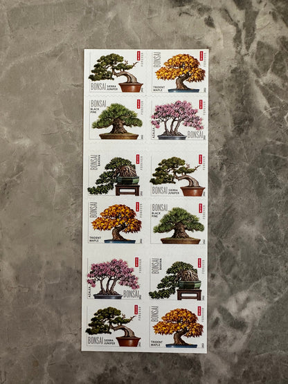 Bonsai Tree Forever First Class Postage Stamps