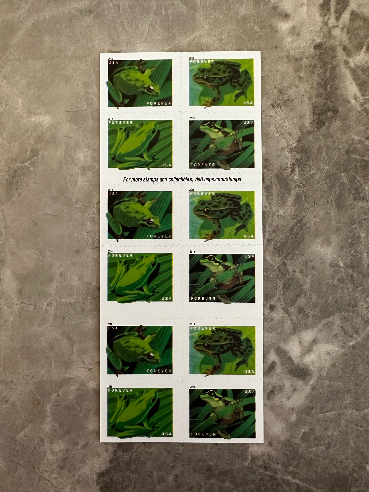 Frogs Forever First Class Postage Stamps