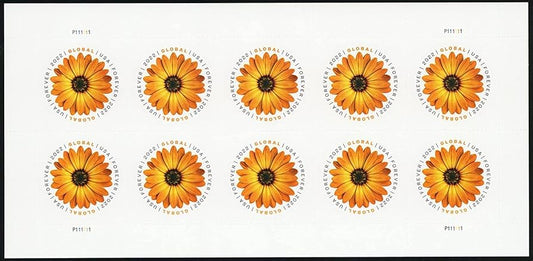 Global African Daisy International First Class Forever US Postage Stamps